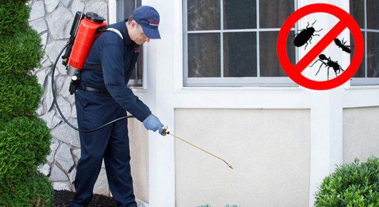 Karatay Akrep İlaçlama böcek ilaçlama ve haşere kontrolü — ilaclama-tr.com
